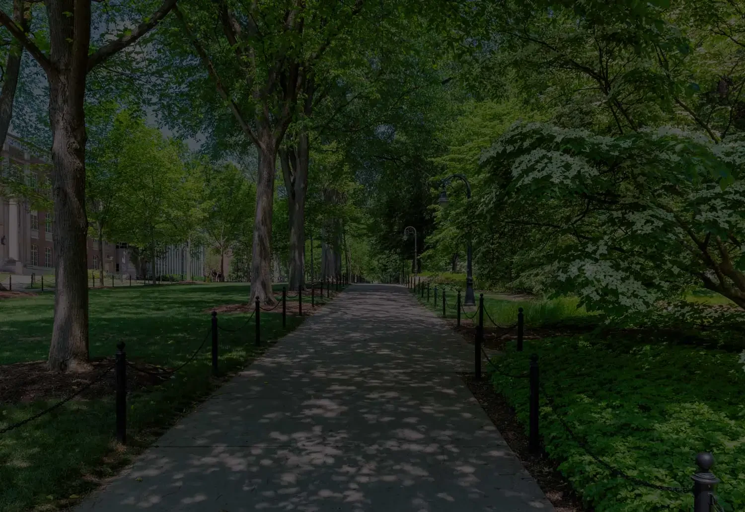 Sunlit pathway lined with trees and lush greenery, leading past lampposts and manicured lawns in a tranquil park setting